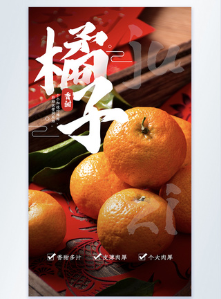 橘子水果摄影图海报图片