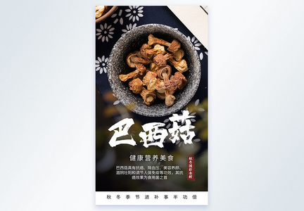 秋冬滋补巴西菇健康食材摄影海报图片