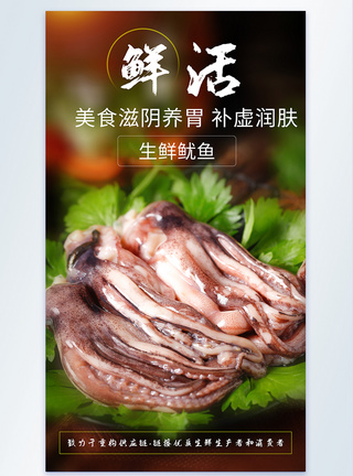 生鲜鱿鱼海鲜生鲜摄影海报图片