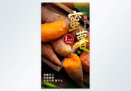 蜜薯农产品摄影图海报图片