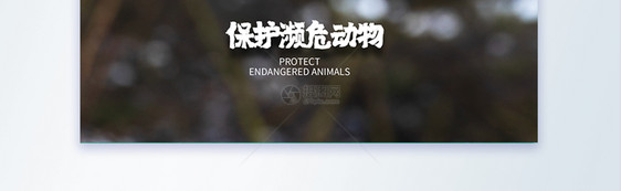 保护濒危动物非洲沙雕摄影图海报图片