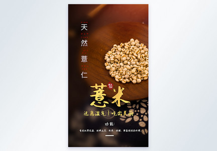 五谷杂粮薏米食材摄影海报图片