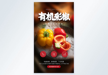 有机彩椒新鲜蔬菜摄影图海报图片