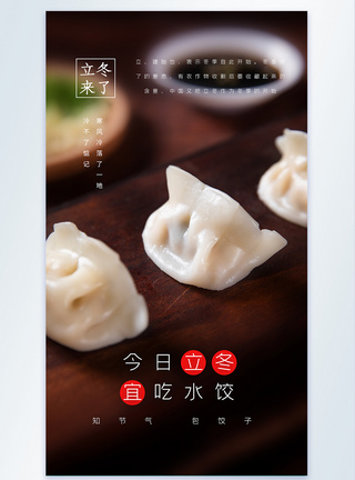 天冷今日立冬宜吃水饺摄影图海报模板