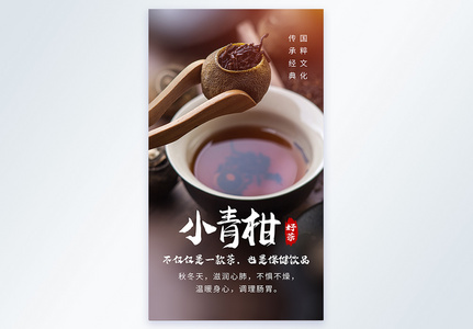 小青柑茶叶摄影海报高清图片