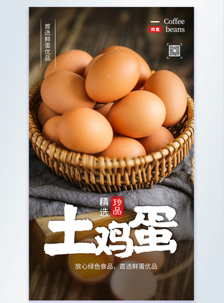 新鲜鸡蛋土鸡蛋摄影海报设计模板