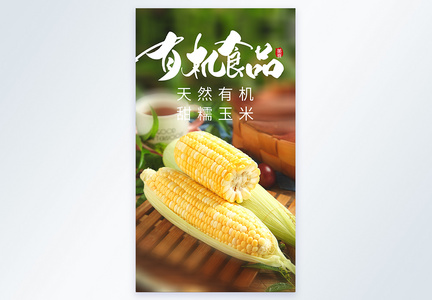 有机食品绿色食品有机玉米食材摄影海报图片