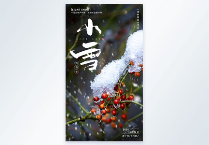 二十四节气之小雪摄影图海报设计图片