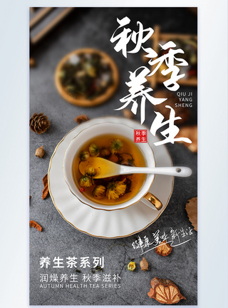 秋季养生菊花茶摄影图海报图片