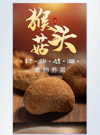 刺猬紫檀猴头菇药材食材摄影海报模板