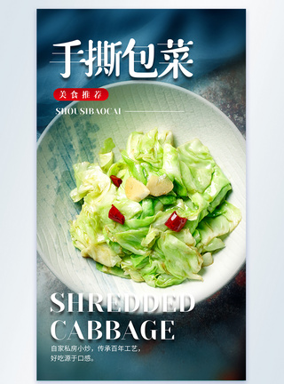 舌尖中国手撕包菜美食摄影图海报模板