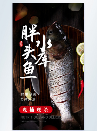 水库胖头鱼美食摄影图海报图片
