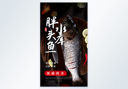 水库胖头鱼美食摄影图海报图片