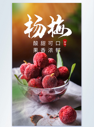 水果杨梅美食摄影海报图片