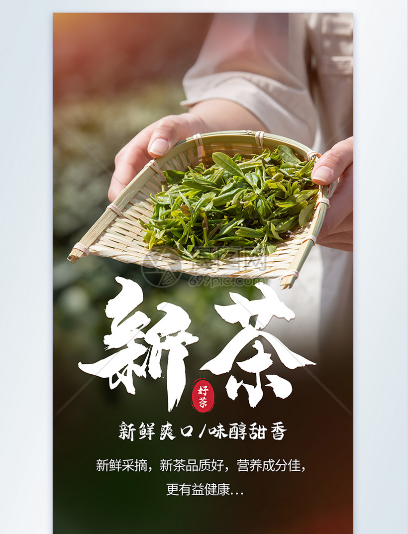 新茶绿茶采摘摄影海报