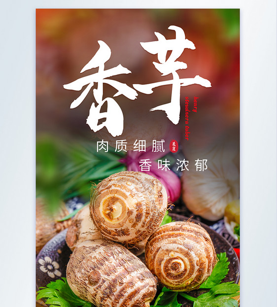 香芋毛芋头食材摄影海报图片