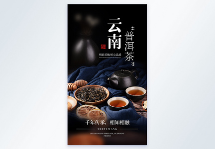 云南普洱茶美食摄影图海报图片