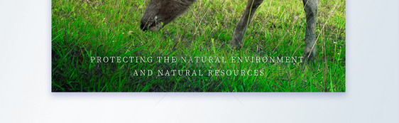 清新简约公益宣传保护生态摄影图海报图片