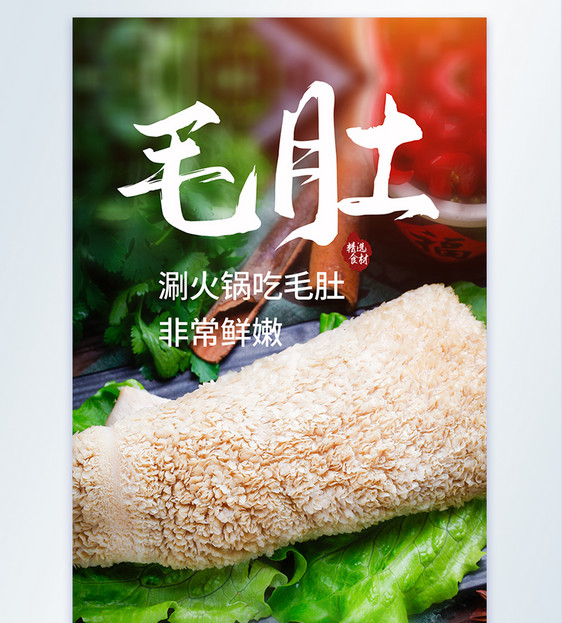 食材毛肚火锅美食摄影图海报图片