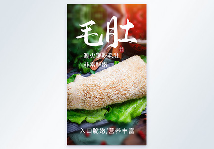 食材毛肚火锅美食摄影图海报图片