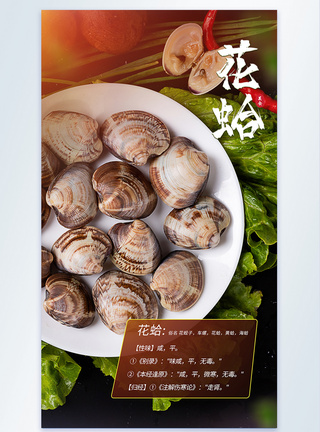 鲜活海鲜文蛤花蛤摄影图海报图片