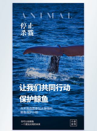 关爱海洋让我们共同行动保护鲸鱼公益宣传摄影图海报模板