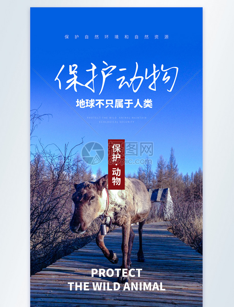 保护动物地球不只属于人类宣传摄影图海报