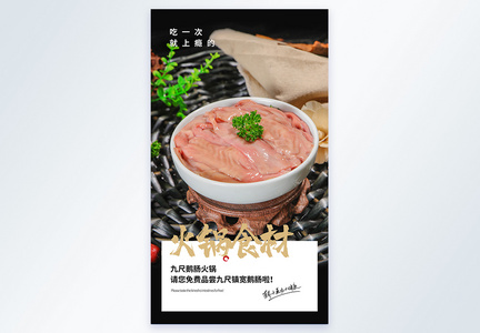 火锅食材九尺鹅肠美食摄影图海报图片