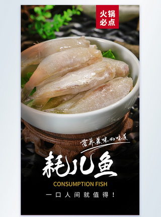 火锅食材耗儿鱼美食摄影图海报模板