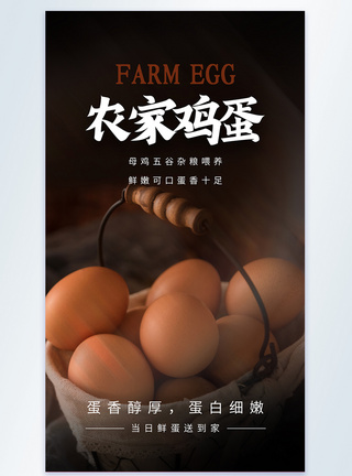 农家鸡蛋摄影图海报图片