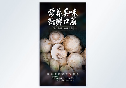 营养美味新鲜口蘑摄影图海报图片