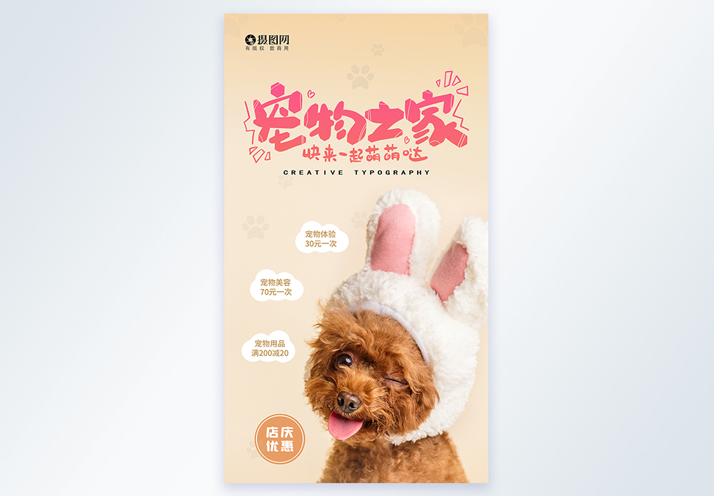 狗狗萌宠宠物之家摄影图海报模板