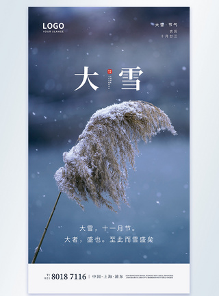 大雪节气摄影图海报图片