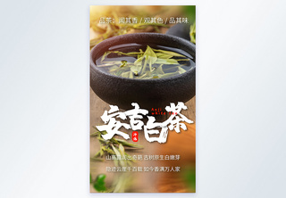 安吉白茶美食摄影图海报绿茶高清图片素材