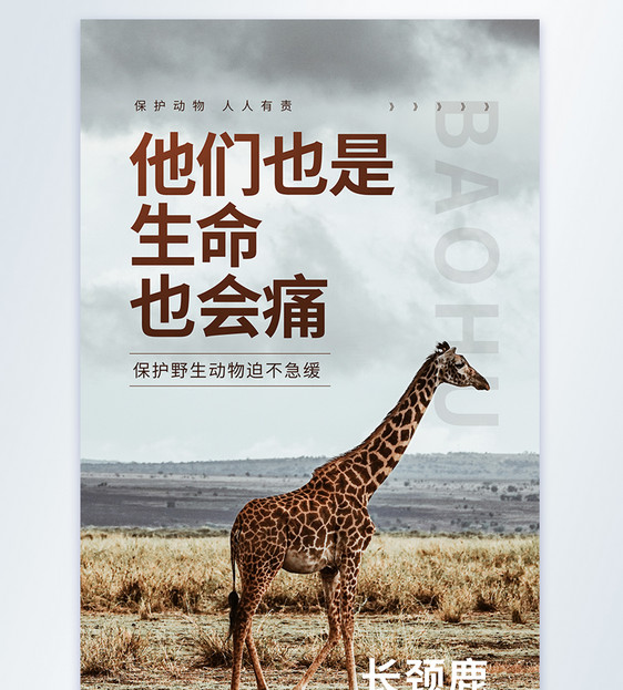 保护野生动物之长颈鹿宣传公益摄影图海报图片