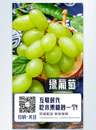 新鲜绿葡萄水果摄影图海报图片