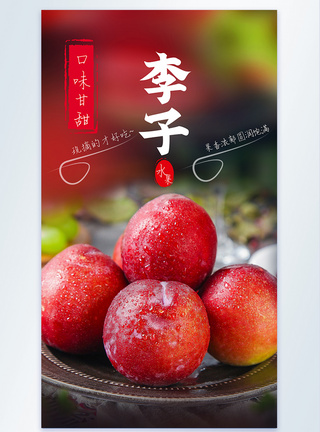 新鲜李子水果摄影图海报图片