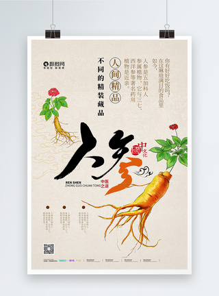 中国传统中医中药人参宣传海报图片