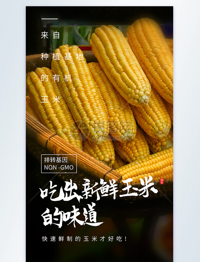 甜糯玉米摄影图海报