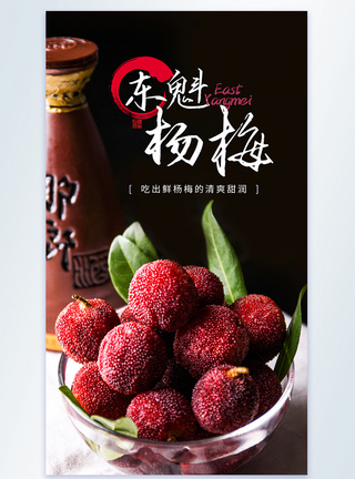梅味随享东魁杨梅摄影图海报