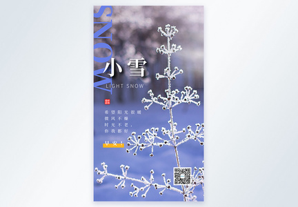 简约清新小雪节气摄影图海报图片