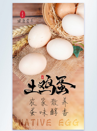 农家土鸡蛋美食食材摄影图海报图片