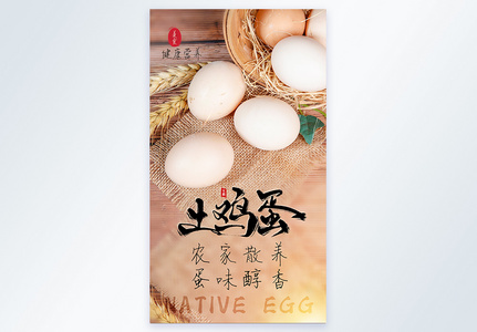 农家土鸡蛋美食食材摄影图海报高清图片