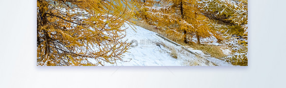 24节气大雪摄影图海报设计图片
