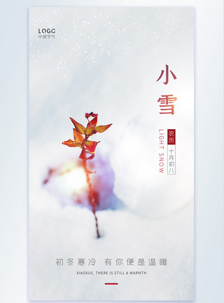 小雪摄影图海报图片