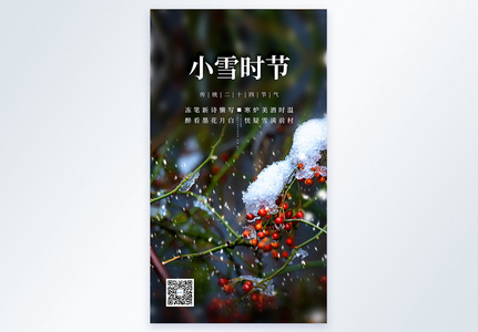 清新简约文艺小雪时节摄影图海报图片