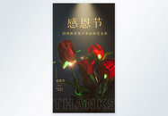 感恩节鲜花促销摄影图海报图片
