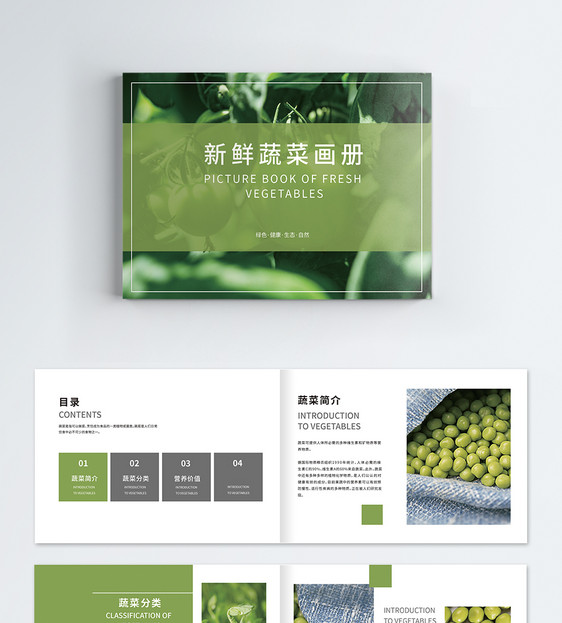 绿色新鲜蔬菜画册整套图片