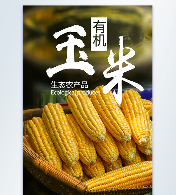 玉米有机农产品摄影图海报图片