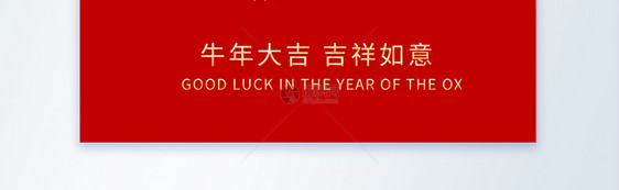 喜迎新年摄影图海报图片